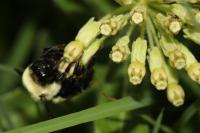 View photo in a new window