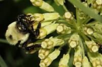 View photo in a new window