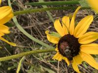 View photo in a new window