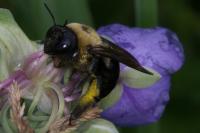 View photo in a new window