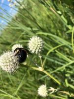 View photo in a new window