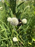 View photo in a new window