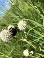 View photo in a new window