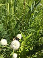 View photo in a new window