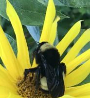 View photo in a new window