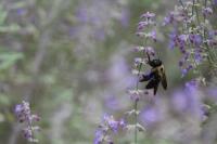 View photo in a new window