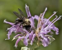 View photo in a new window