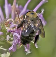 View photo in a new window