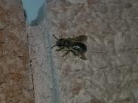 View photo in a new window