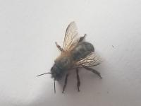 View photo in a new window