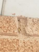 View photo in a new window