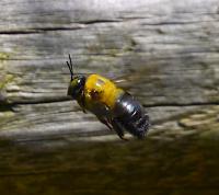 View photo in a new window