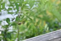 View photo in a new window