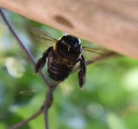 View photo in a new window