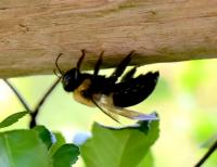 View photo in a new window