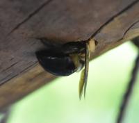 View photo in a new window