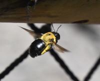 View photo in a new window