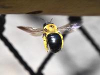 View photo in a new window