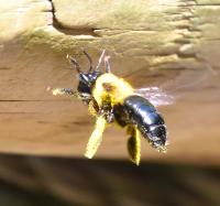 View photo in a new window