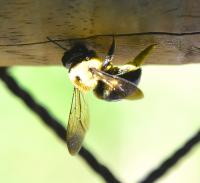 View photo in a new window