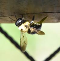 View photo in a new window