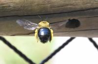 View photo in a new window