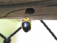 View photo in a new window