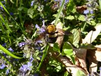 View photo in a new window