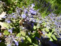 View photo in a new window