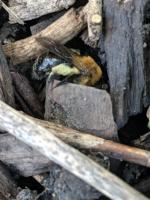 View photo in a new window