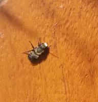 View photo in a new window