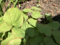 View photo in a new window