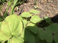 View photo in a new window