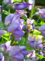 View photo in a new window