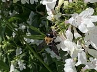 View photo in a new window