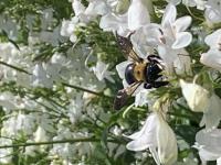 View photo in a new window