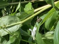 View photo in a new window