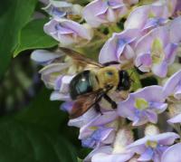 View photo in a new window