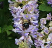 View photo in a new window