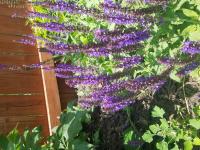 View photo in a new window