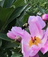 View photo in a new window