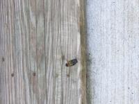 View photo in a new window