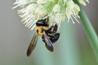 View photo in a new window