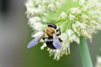 View photo in a new window