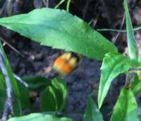 View photo in a new window