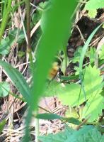 View photo in a new window