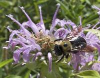 View photo in a new window