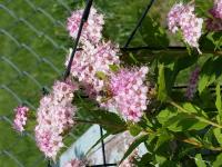 View photo in a new window