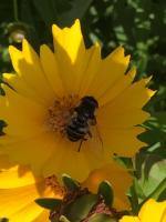 View photo in a new window