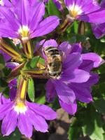 View photo in a new window